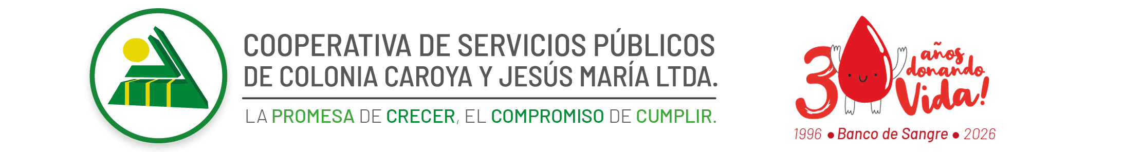 Cooperativa